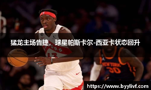 bsports官方网站