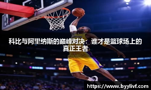 必一bsports