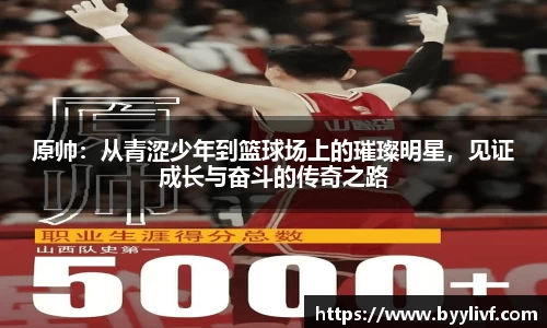 必一bsports
