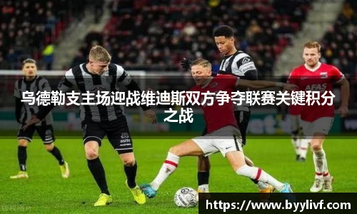 必一bsports