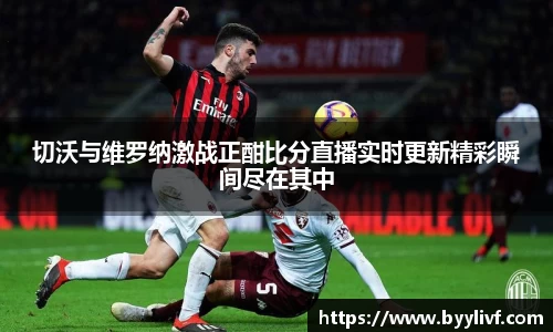 bsports官方网站