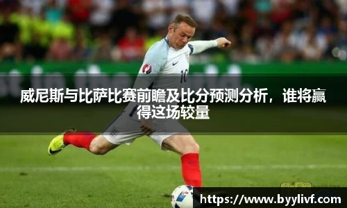 必一bsports